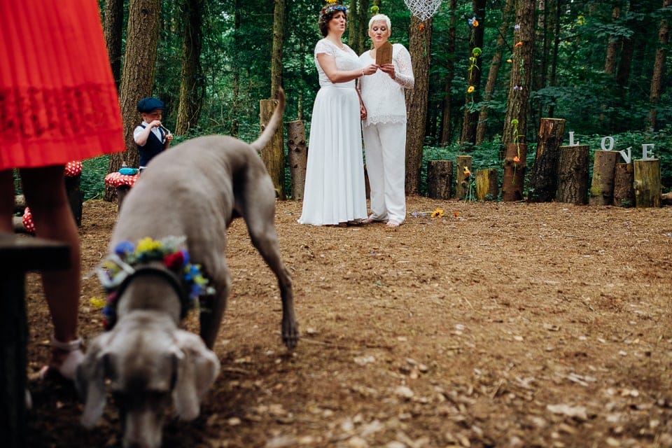 camp katur woodland lesbian wedding-64